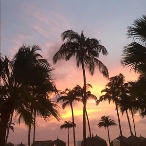 Meet your Posher, Ava